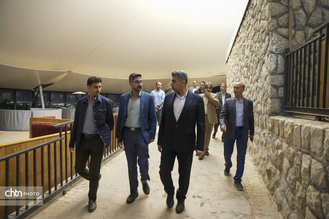 ملک سلیمانی