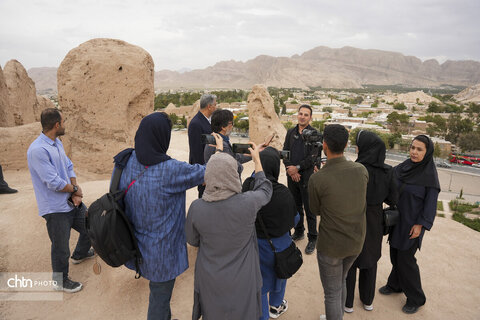 ملک سلیمانی