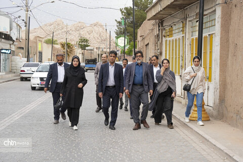 ملک سلیمانی