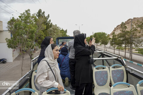 ملک سلیمانی