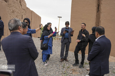 ملک سلیمانی