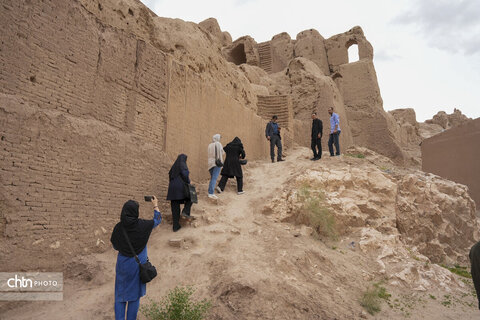 ملک سلیمانی