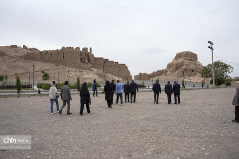 ملک سلیمانی