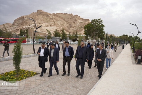 ملک سلیمانی