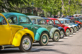 رالی‌تور و گردهمایی خودروهای تاریخی در محکومیت تجاوز به میراث فرهنگی و تاریخی ایران