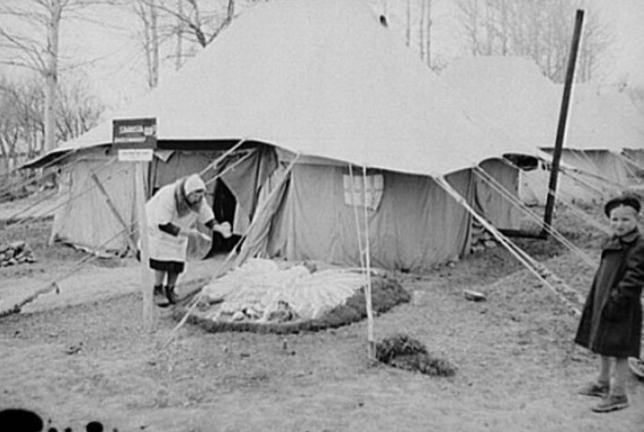 جنگ، مهاجرت و تغییرات فرهنگی: روایت میزبانی ایران از پناهجویان لهستانی