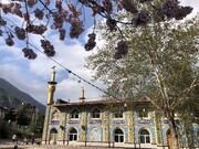 امامزاده عبدالله (ع) گرگان؛ آیینه‌ای در برابر تاریخ و فرهنگ روستای زیارت