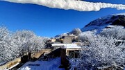 تصاویر زمستانی روستای انجدان