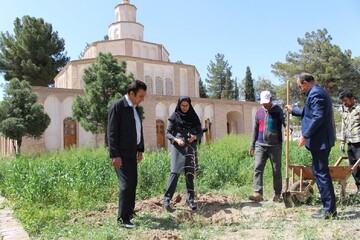 طراوت بهار در بنای قاجاری/ پویش درختکاری در ارگ کلاه فرنگی بیرجند برگزار شد