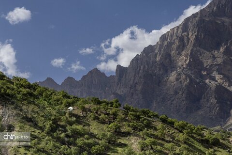 جلوه های بهاری در مشایخ