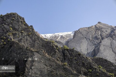 جلوه های بهاری در مشایخ