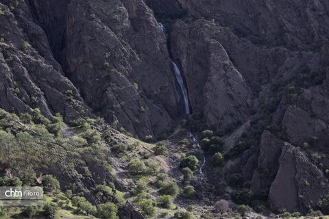 جلوه های بهاری در مشایخ