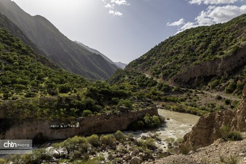 جلوه های بهاری در مشایخ