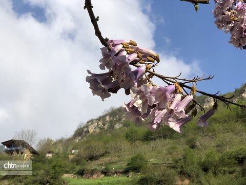 امام زاده عبدالله