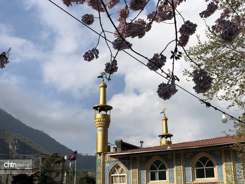 امام زاده عبدالله