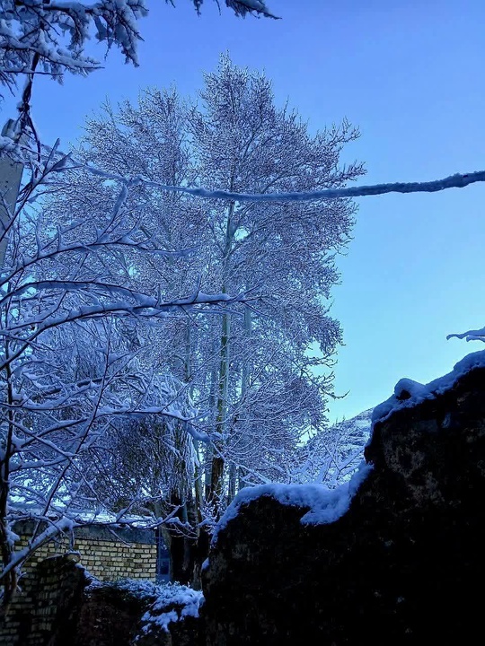 روستای انجدان