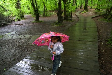 بارش باران در ۲۱ استان