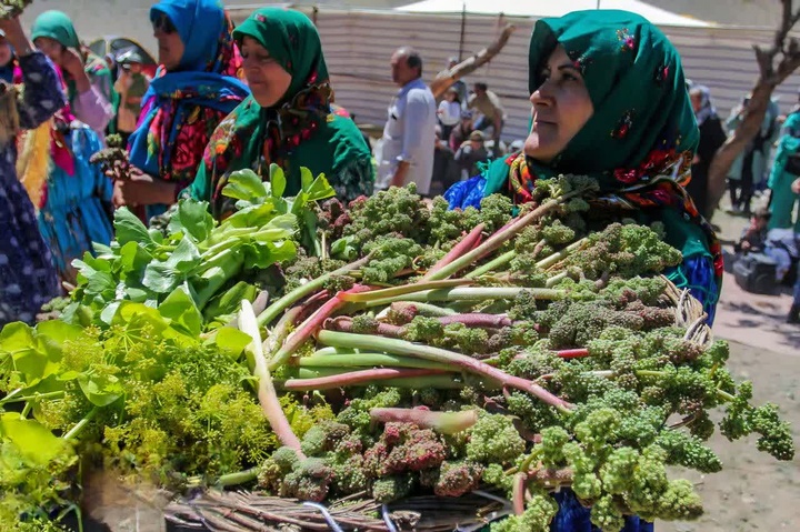 جشنواره بومی- محلی ریواس راونج؛ فرصتی برای معرفی ظرفیت‌های بومی و توسعه گردشگری پایدار