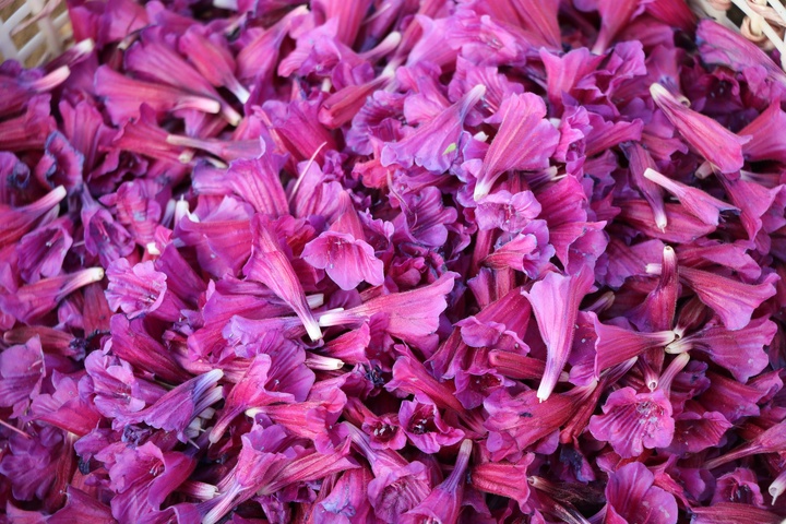 گل‌گاو زبان