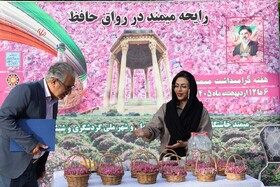 رایحه میمند در رواق حافظ