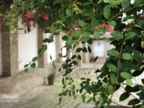 بهار میراث