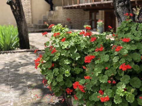 بهار میراث
