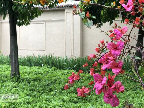 بهار میراث
