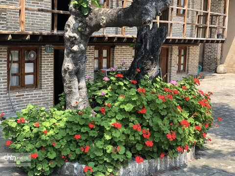 بهار میراث