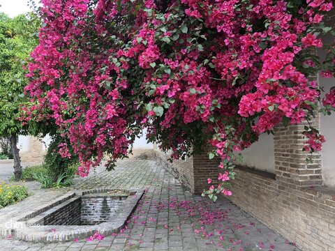 بهار میراث