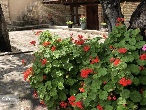 بهار میراث