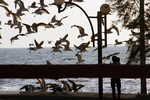 روز ملی خلیج‌فارس گرامی باد.