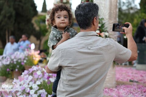 رایحه میمند در رواق حافظ