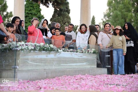 رایحه میمند در رواق حافظ