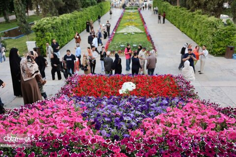 رایحه میمند در رواق حافظ