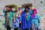 برگزاری جشنواره ریواس در روستای هدف گردشگری راونج