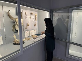 فاز دوم پایش حفاظتی چغازنبیل و هفت‌تپه با تمرکز بر رطوبت‌سنجی