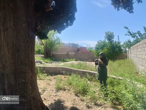 آغاز روند تشکیل پرونده ثبت آثار طبیعی بخش گلباف کرمان