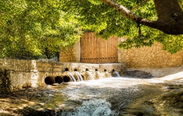 بازدید میدانی مدیرکل میراث‌فرهنگی استان فارس از منطقه گردشگری جورگ