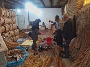 بازدید معاون صنایع‌دستی استان مرکزی از کارگاه‌های مرواربافی ملایر/ بیشترین محصولات تولیدی به عراق، ارمنستان و ترکیه صادر می‌شود