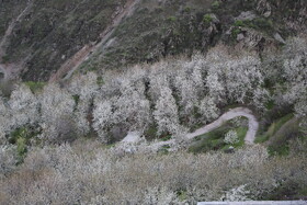 طبیعتگردی در روستاهای شیت و ولیدر طارم زنجان