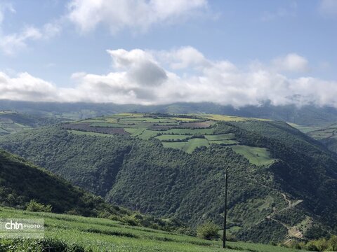 کیارام