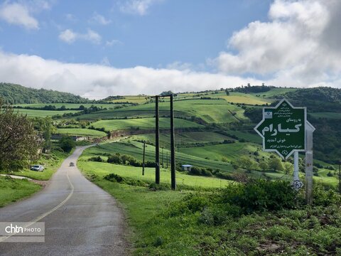 تابشِ نور بر برگ‌های خیس؛ سحرگاهی در روستای کیارام