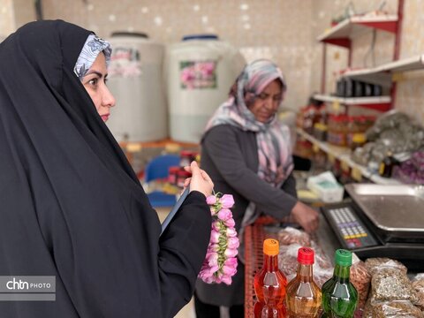میمند؛ عطرافشانی ناب گل محمدی در قلب فارس