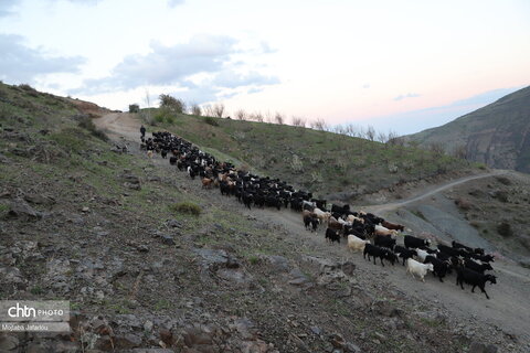 طبیعتگردی در روستاهای شیت و ولیدر طارم زنجان
