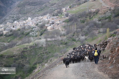 طبیعتگردی در روستاهای شیت و ولیدر طارم زنجان
