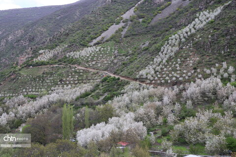 طبیعتگردی در روستاهای شیت و ولیدر طارم زنجان