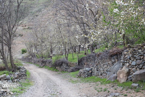 طبیعتگردی در روستاهای شیت و ولیدر طارم زنجان