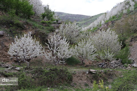 طبیعتگردی در روستاهای شیت و ولیدر طارم زنجان