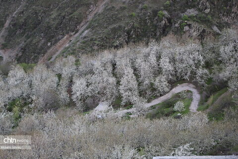 طبیعتگردی در روستاهای شیت و ولیدر طارم زنجان