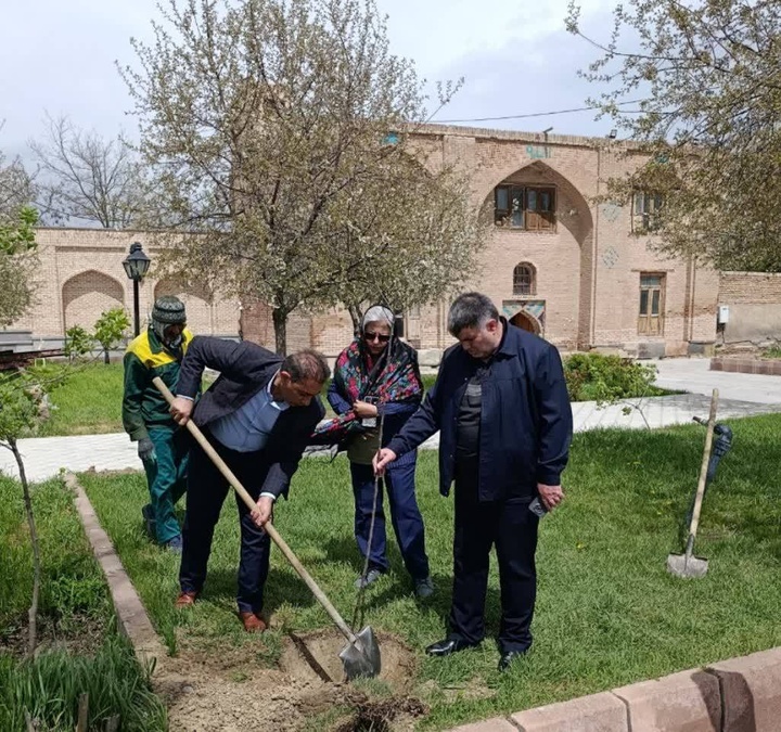 پویش درختکاری در محوطه بناهای تاریخی اردبیل با ابتکار یک گروه خیریه